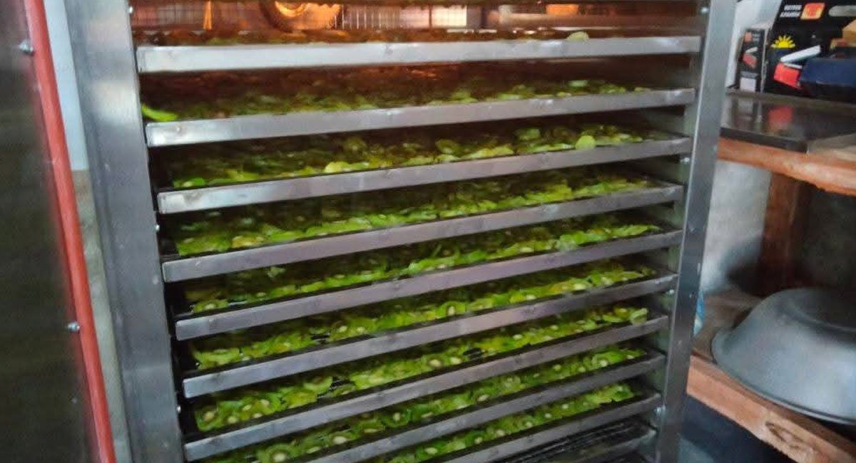 क्याम्पोलमा किवी प्रशोधन उद्योग