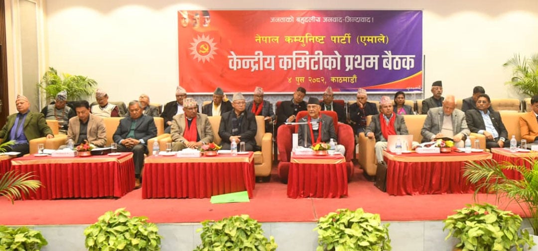 नेताको कार्य विभाजन जिम्मेवारी सचिवालयलाई