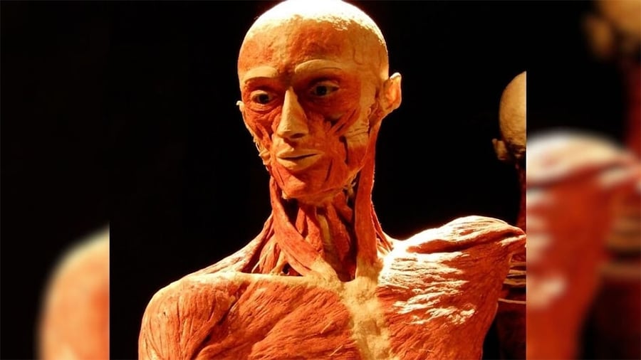 संग्राहलयको प्रदर्शनीमा छोराको शव देखेपछि…