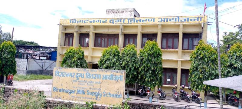 किसानलाई दूधको ११ करोड भुक्तानी गर्न बाँकी