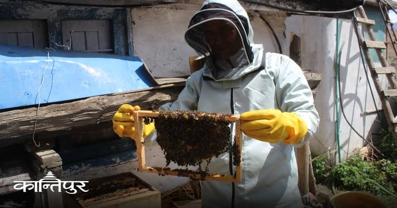 मौरी बचाउन न्युटन ‘बी’ घार