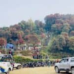 राईनासकोट राताम्य, गुराँससँग रम्दै पर्यटक