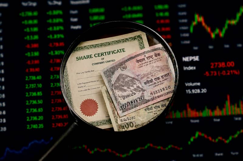 दिपक भट्ट जोडिएका ८ कम्पनीका संस्थापक सेयरधनीहरूको विवरण छानबिनमा, कारण के?