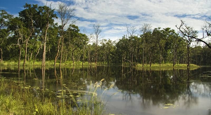 चितवन राष्ट्रिय निकुञ्जले थाल्याे आफ्नो क्षेत्रभित्र पोखरी निर्माण र मर्मत