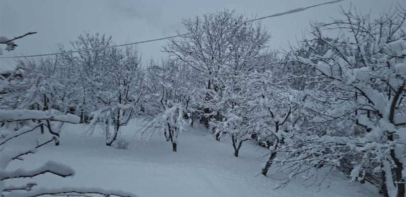 Heavy snowfall brings joy to farmers in Humla
