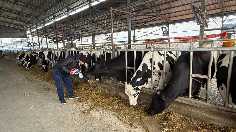 Feed testing: The missing link in ensuring safe milk, meat and chhurpi exports from Nepal