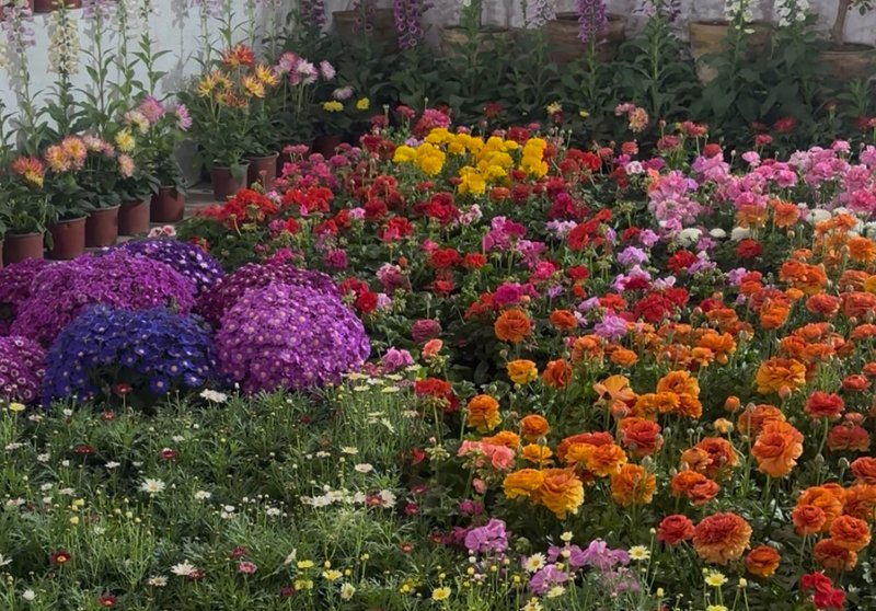 27th Flora Expo kicks off in Kathmandu