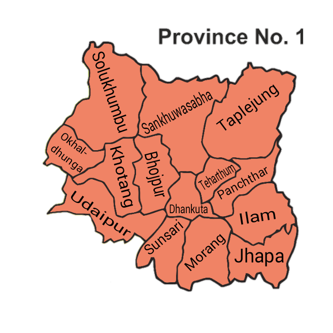 Patients of seasonal flu up in Koshi
