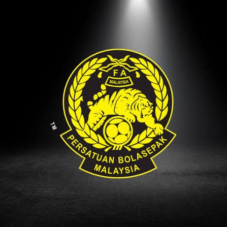CAS grants stay on FIFA ban for seven naturalised footballers, Malaysian association says