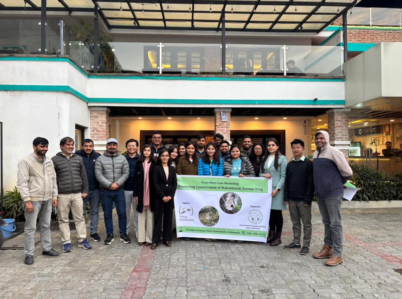 Stakeholders call for coordinated action to conserve Mountain Torrent frog