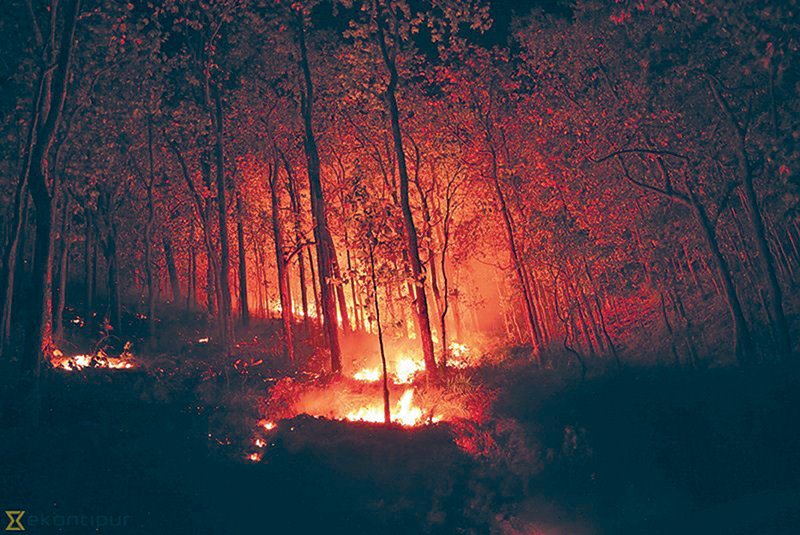 Forest Fire Management Week begins today