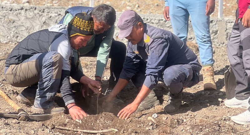 Apple trials begin in Langtang