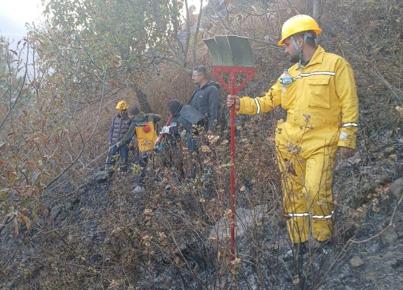 वनमा लागेको डँढेलो नियन्त्रणमा