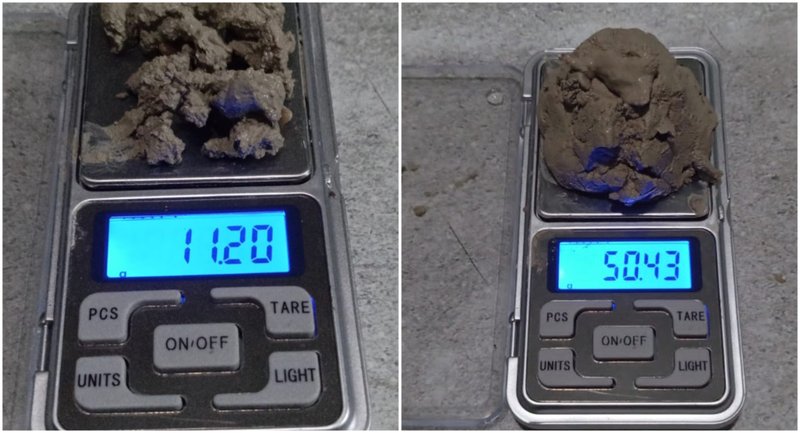 भद्रपुरमा ब्राउन सुगरसहित सात युवक पक्राउ