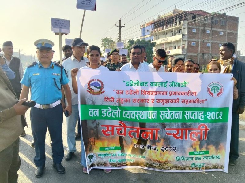 वन डढेलो नियन्त्रण गर्न विशेष अभियान