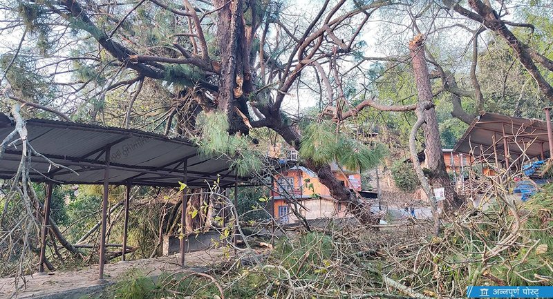 हावाहुरीले धनकुटाका भौतिक संरचनामा ठूलो क्षति (फोटो फिचर)