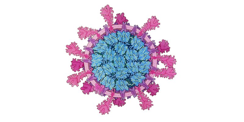 भारतको राष्ट्रिय रोग नियन्त्रण केन्द्रले भन्यो- देशभरि निपाह भाइरसको संक्रमण दुई जनामा मात्र पुष्टि