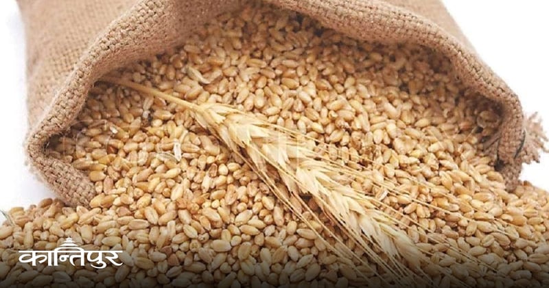 गहुँको समर्थन मूल्य तोक्न उद्योग मन्त्रालयसमक्ष कृषिको प्रस्ताव