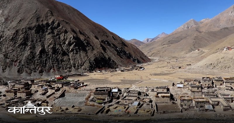 उपल्लो डोल्पाको ढुवानीमा चौंरीकै भर