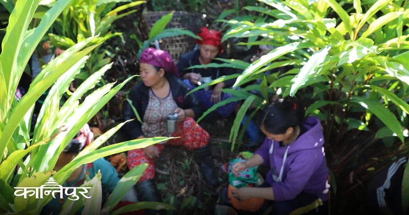 चीन र भारतसँग सिमाना जोडिए पनि ताप्लेजुङका जटिलता उस्तै