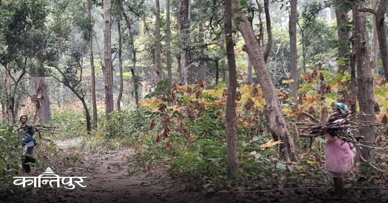 सामुदायिक वनको सुधार र रूपान्तरण