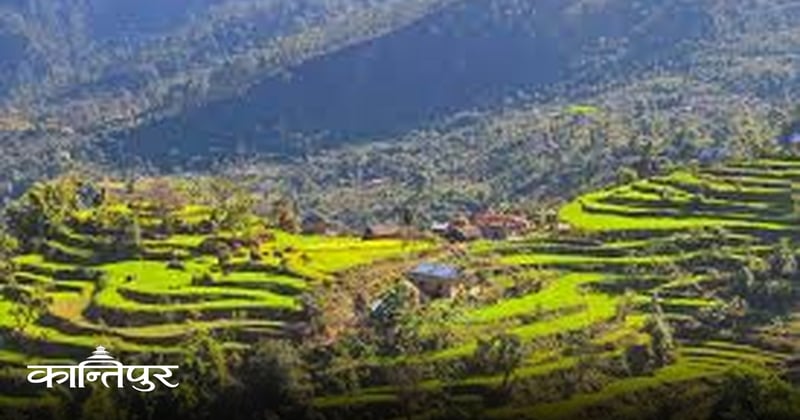 गाउँमा ‘मास माइग्रेट’