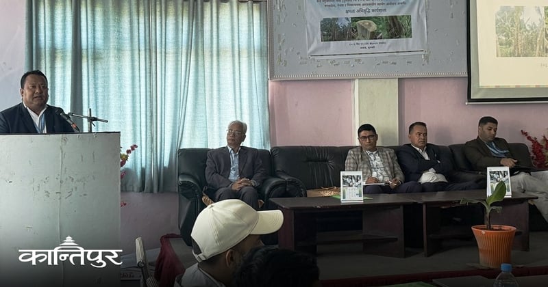 केरा खेतीमा ‘टीआर–४’को त्रास, सतर्कता अपनाउन विज्ञको सुझाव