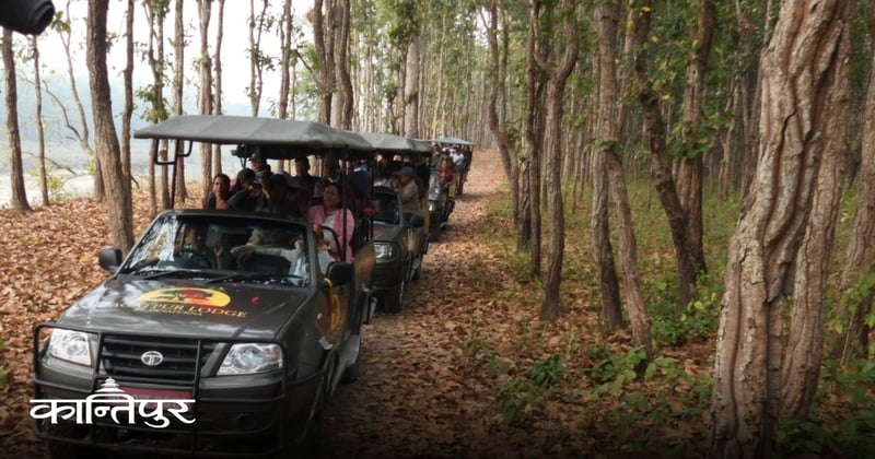 पटिहानी–दुधौरा जिप सफारी संचालन