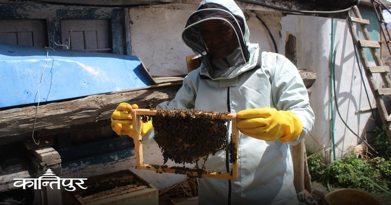 मौरी बचाउन न्युटन ‘बी’ घार