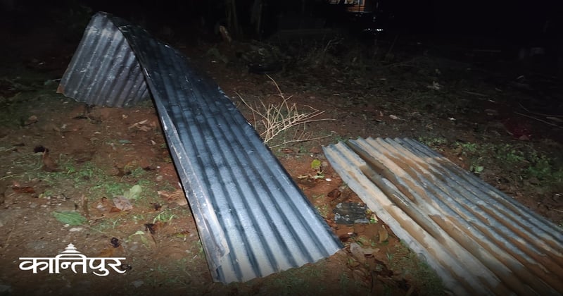 वर्षासहितको हावाहुरीले रुख ढल्दा धनकुटा-हिले सडक खण्ड अवरुद्ध