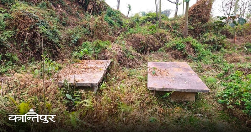 धनकुटा क्याम्पसको बास्केटबल कोर्ट झाडीमा परिणत, चार वर्षयता अभ्यास न प्रतियोगिता