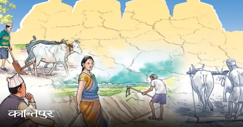 चुनावीयामको बहसमा भूमिसुधार