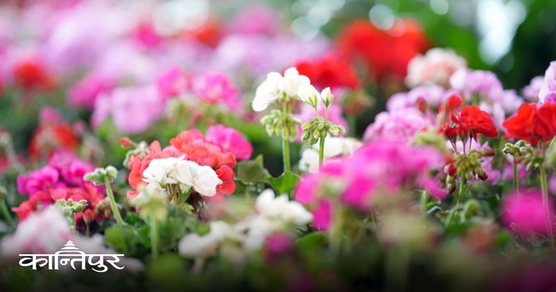 फ्लोरा एक्स्पोमा १ करोड २२ लाखको कारोबार