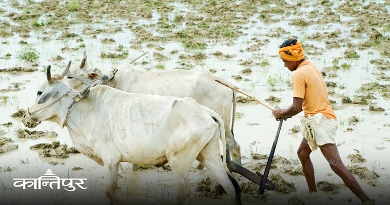 भूमि रूपान्तरणको मार्गचित्र