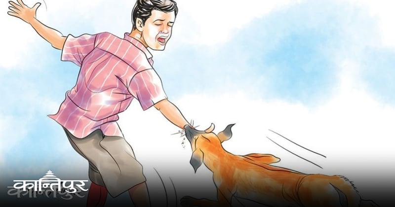 महेन्द्रनगर बजारमा छाडा कुकुरको आतंक