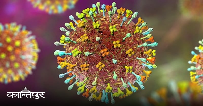 सरकारले जारी गर्यो निपाह भाइरस परीक्षण निर्देशिका