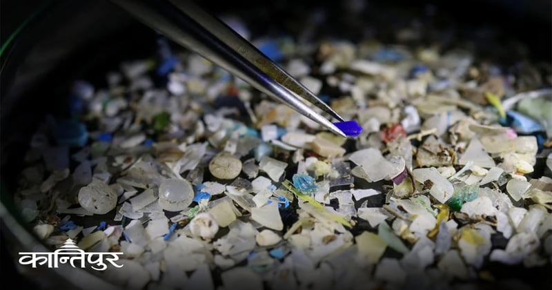 प्रोस्टेट क्यान्सरको ट्युमरभित्र माइक्रोप्लास्टिक भेटियो : अध्ययन