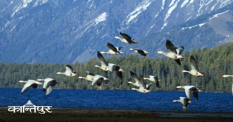 बढ्दो अतिक्रमण र प्रदूषणले संकटमा सिमसार