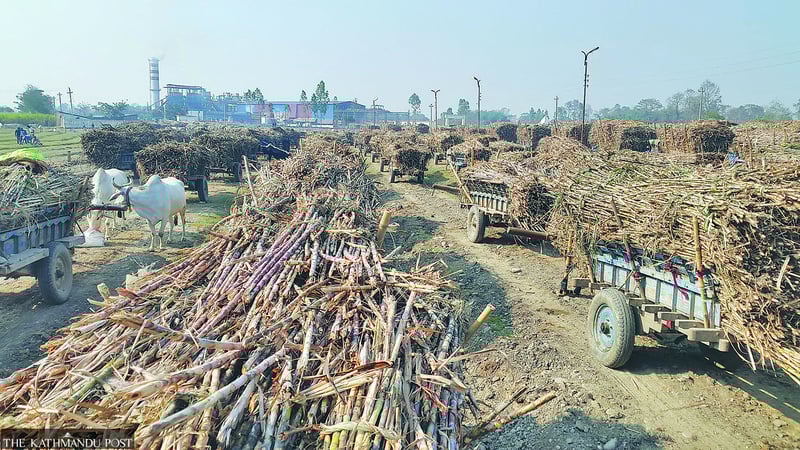 Nepal clears way for E10 petrol blend, eyes Rs6 bn yearly savings