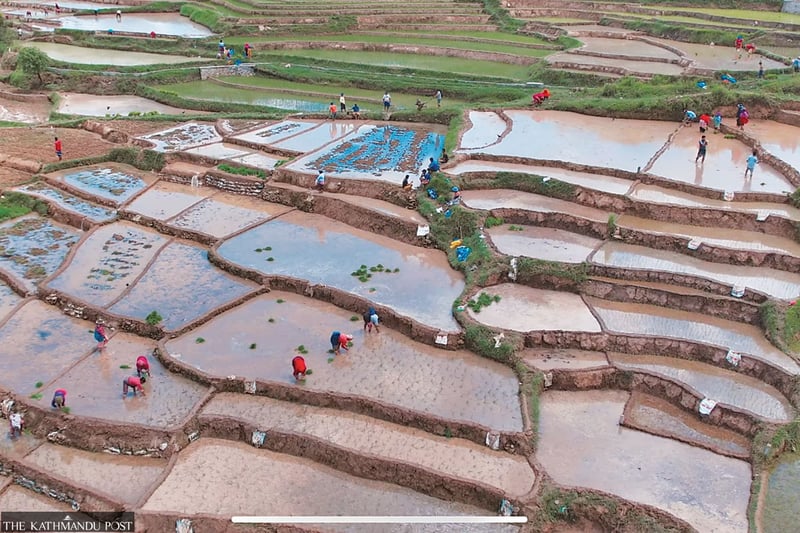 Nepal set for fresh fertiliser crunch as Iran war hits supply, pushes up prices