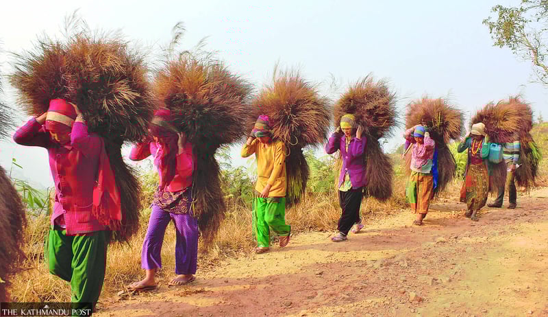 By 2050, Nepal must create 6.5m jobs to reap demographic dividend