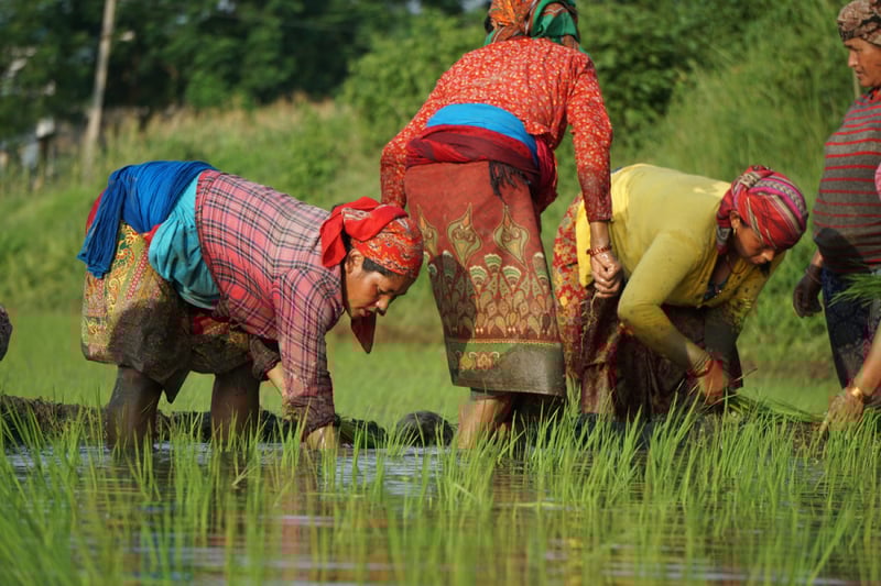 Women farmers: The heartbeat of Nepal’s food systems
