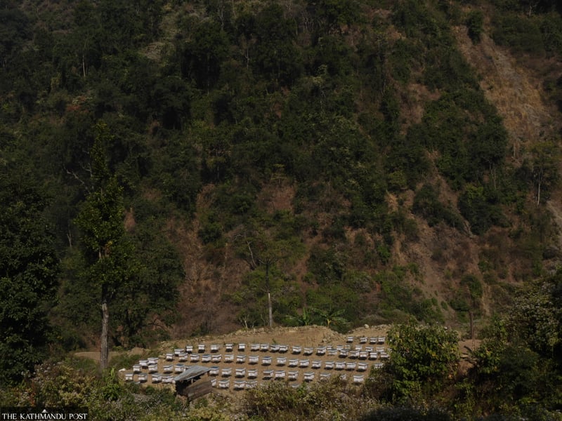 Chiuri bloom brings bumper honey harvest for Chepang beekeepers in Makawanpur
