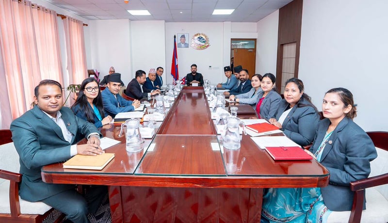 Cabinet appoints Bhatta planning commission vice-chair, makes other decisions