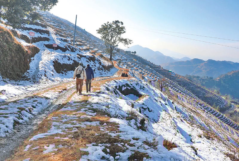 Snowfall disrupts mountain districts of Karnali and Sudurpaschim, brings relief to drought-hit farmers