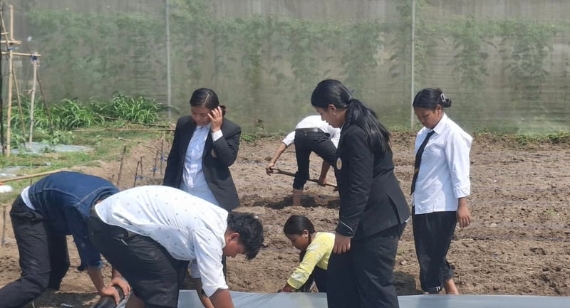 पढ्दै कमाउँदै कार्यक्रमको प्रभावकारिता : जनप्रिय माविका विद्यार्थी उत्पादनमै सक्रिय