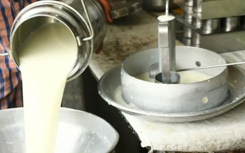 चितवनका दुग्ध किसानले पाएनन् ५५ करोड भुक्तानी