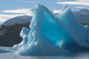 दुई वटा संसदीय समितिको बैठक बस्दै