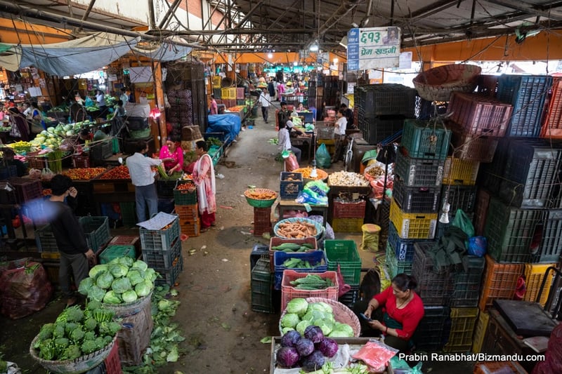 एक महिनामा ७० प्रतिशतभन्दा बढीले सस्तियो तरकारी, काउलीको थोक मूल्य प्रति केजी २५ रुपैयाँ