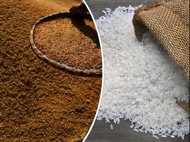 ७ महिनामा भित्रियो २५ अर्बको धान चामल, माघमा मात्रै ५ अर्ब बढीको आयात